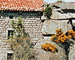 Brèves en Gevaudan