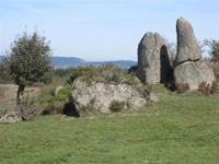 La Margeride