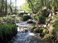 Ruisseau du Gevaudan